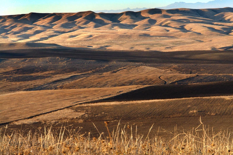 Deserts 5