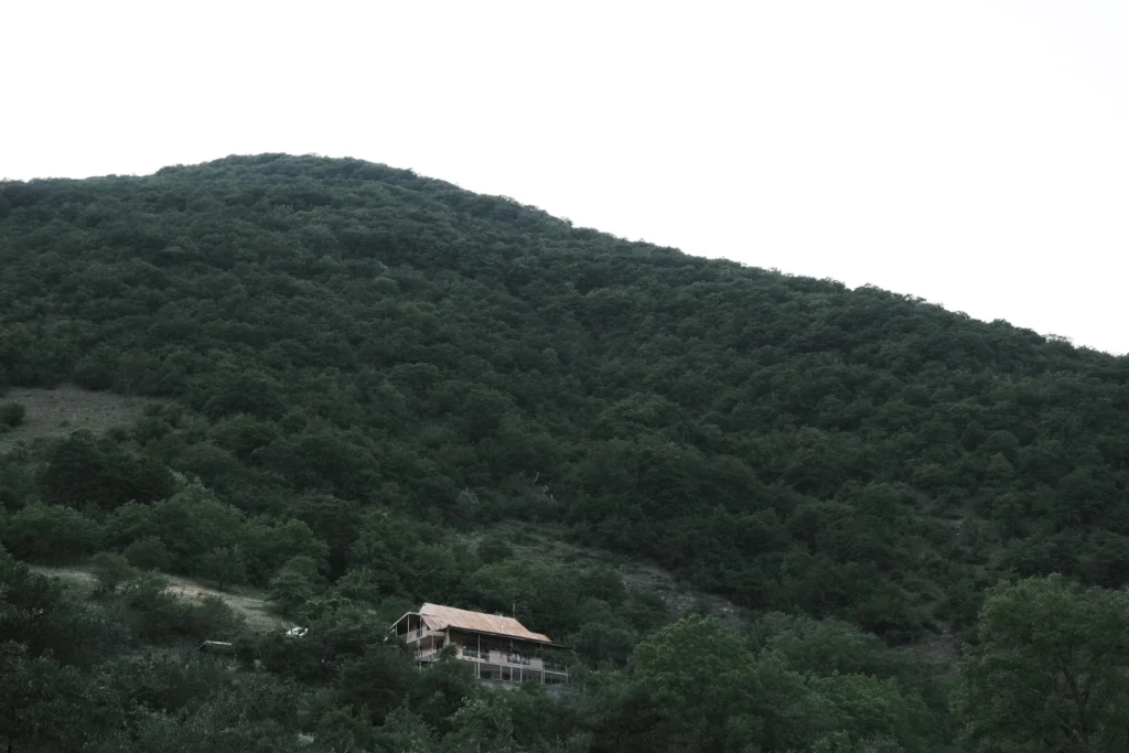 Forests 6