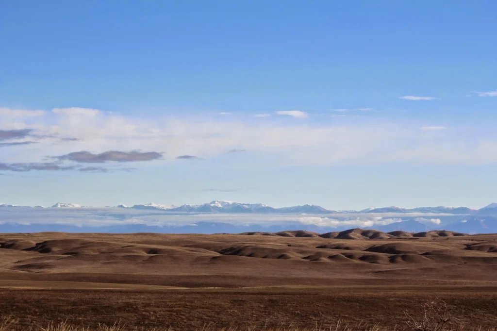 Deserts 14