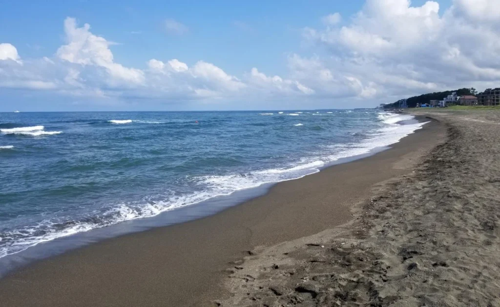 Beaches 14