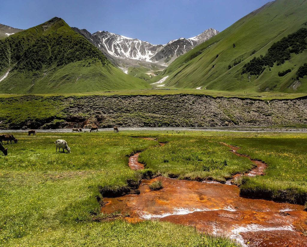 Mountains 14