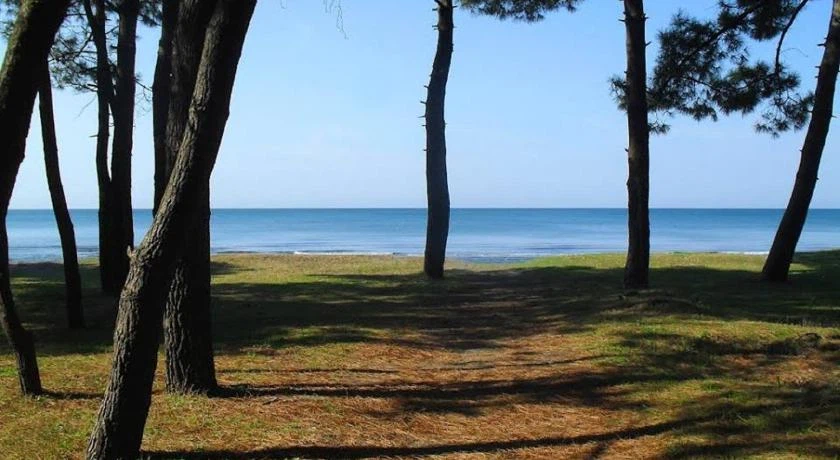 Beaches 24