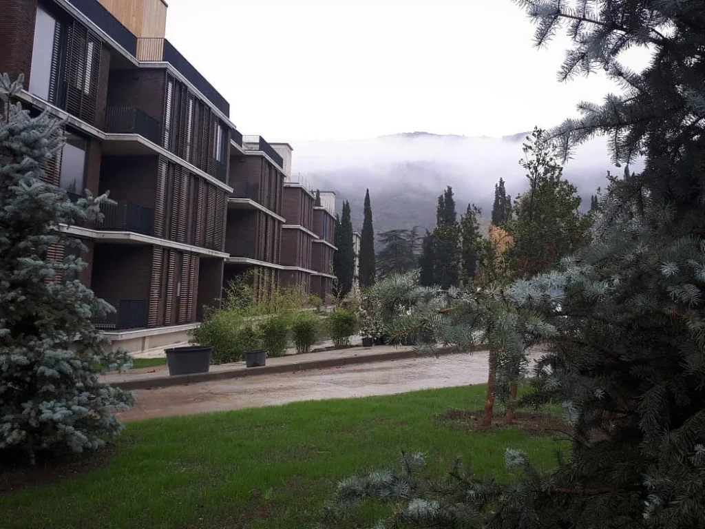 Residential Neighborhoods 11