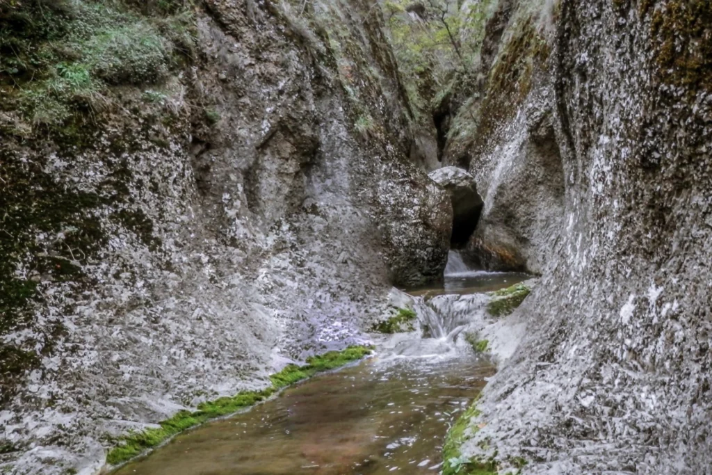Rivers / Lakes 29