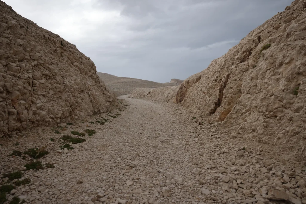 Deserts 3