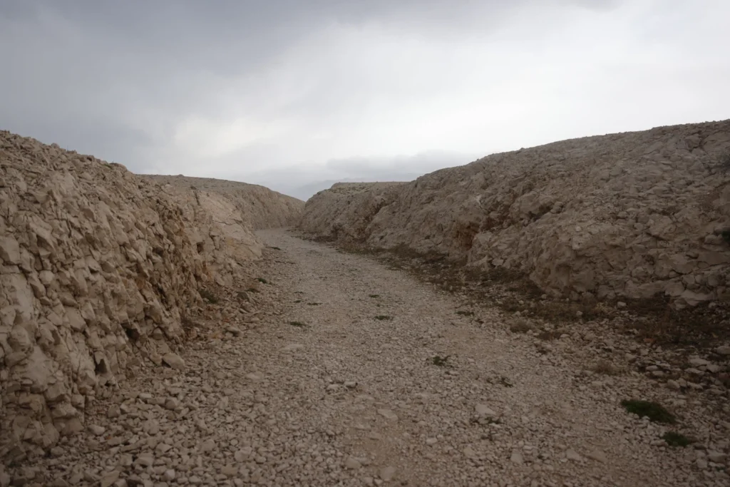 Deserts 6