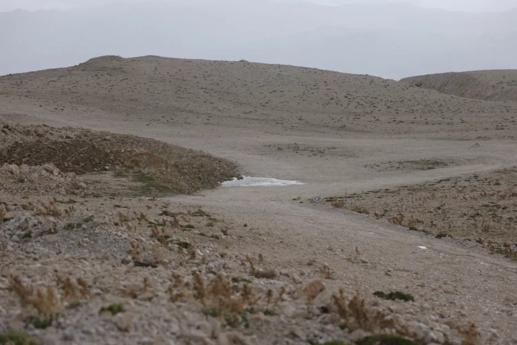 Deserts 7