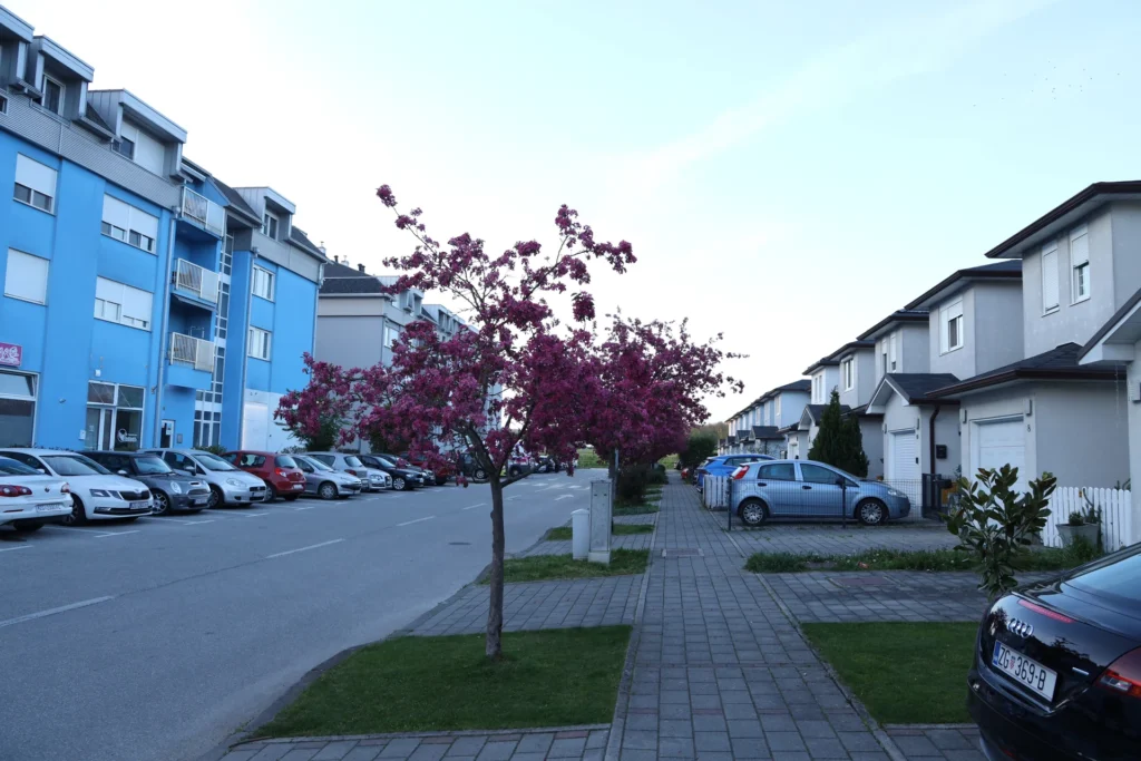 Residential Neighbourhoods 7