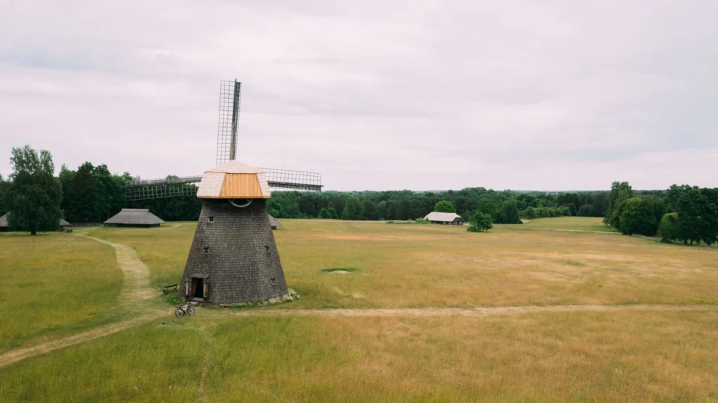 Fields / Meadows 3