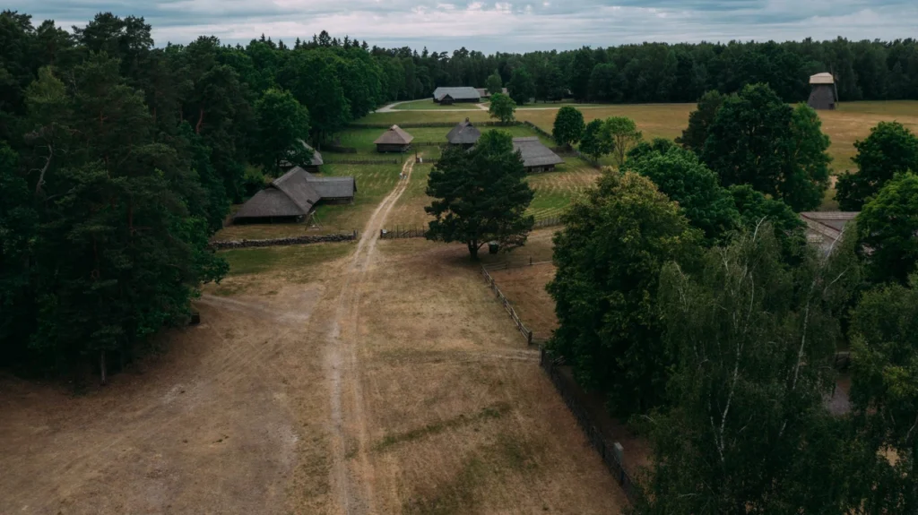 Fields / Meadows 5