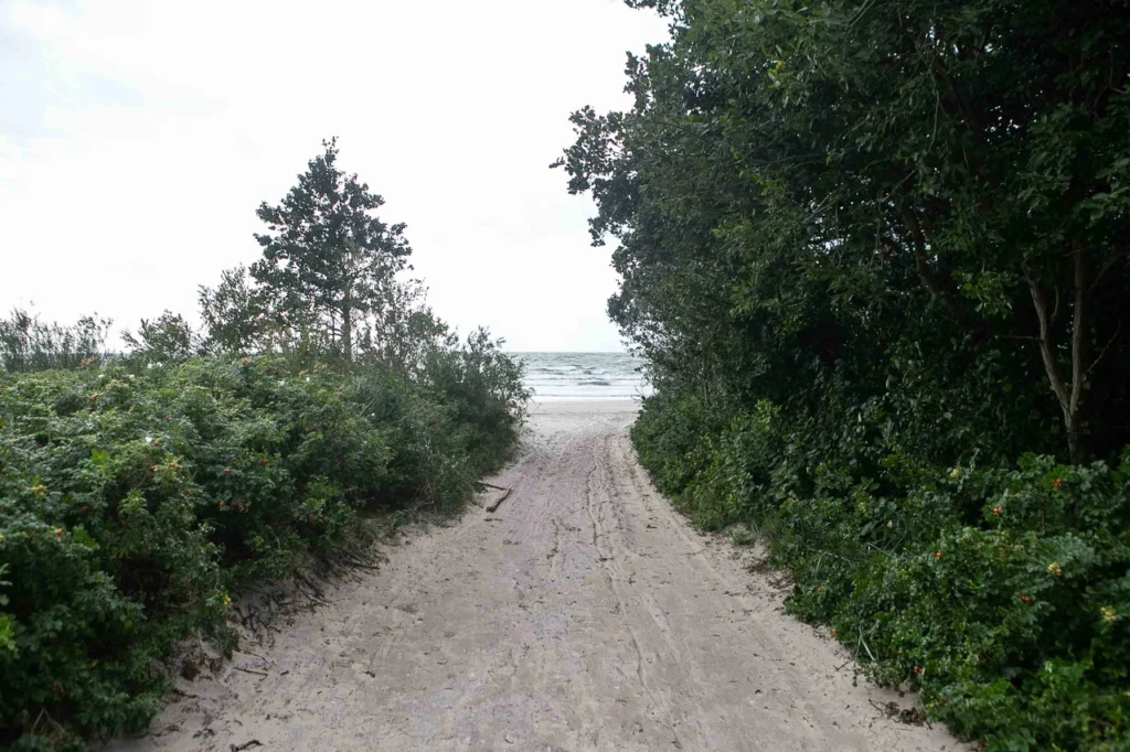 Beaches 11
