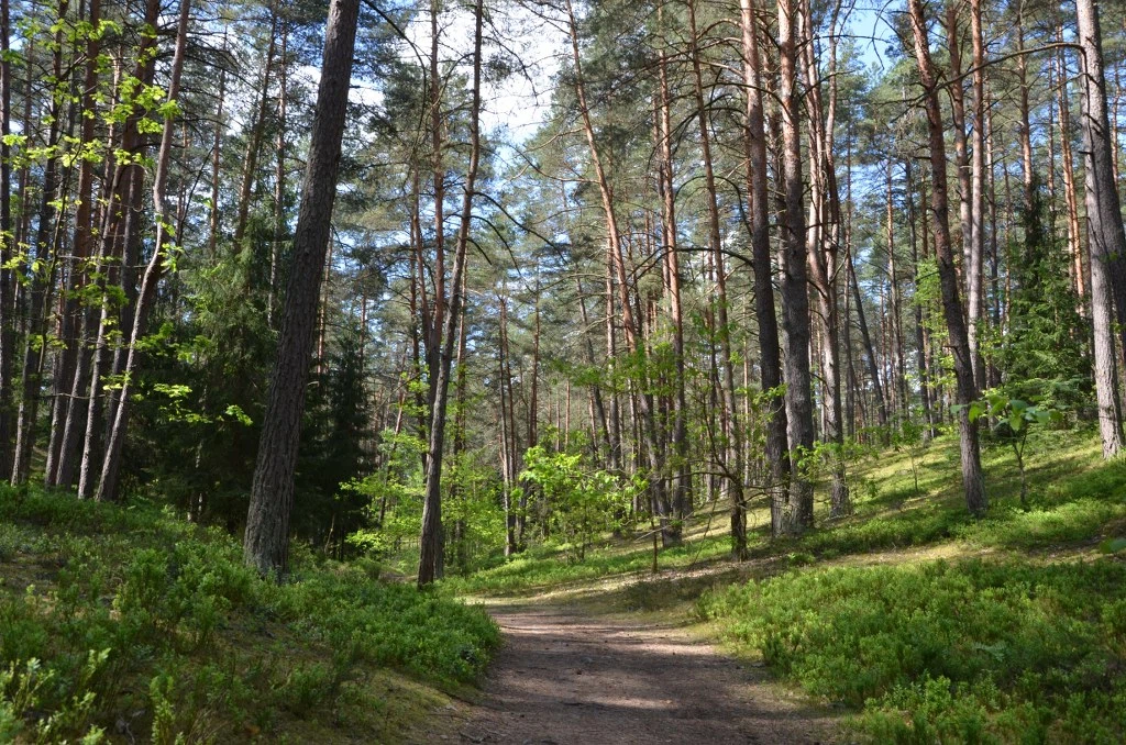Forests 9