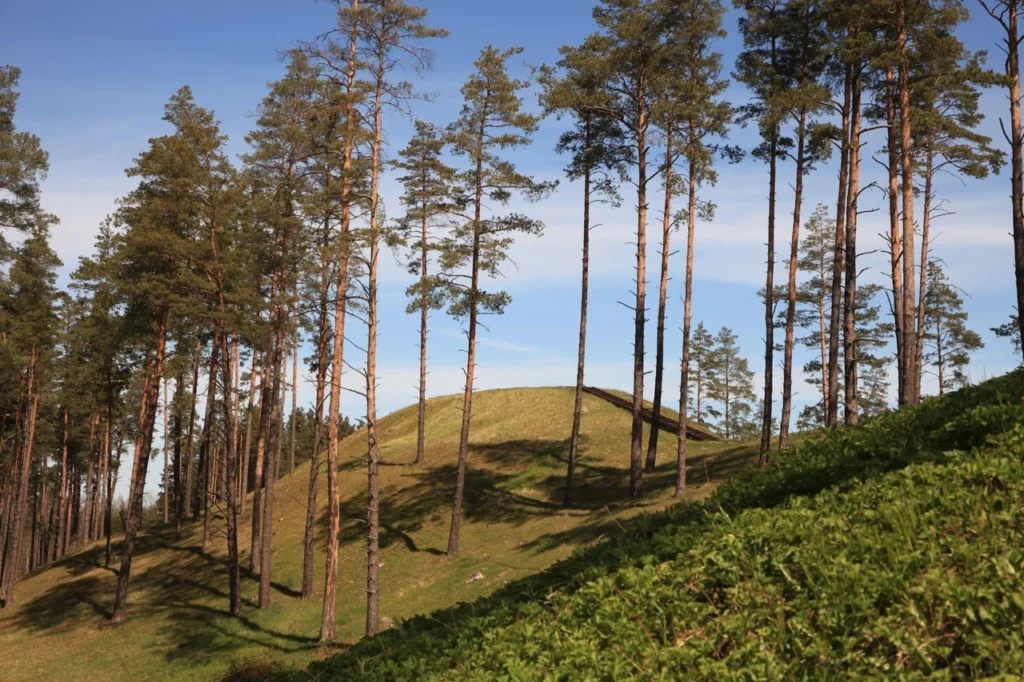 Forests 15