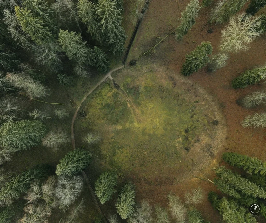 Forests 16