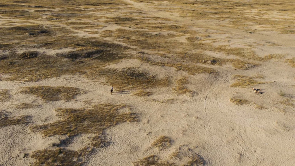 Deserts 5