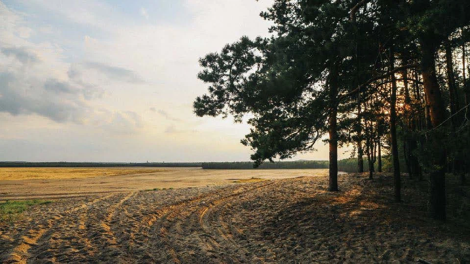 Deserts 6
