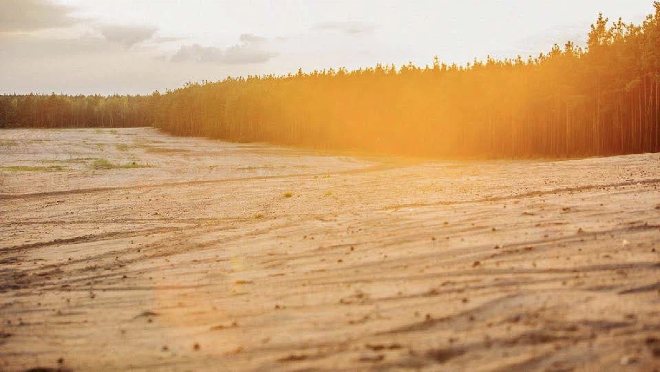 Deserts 7