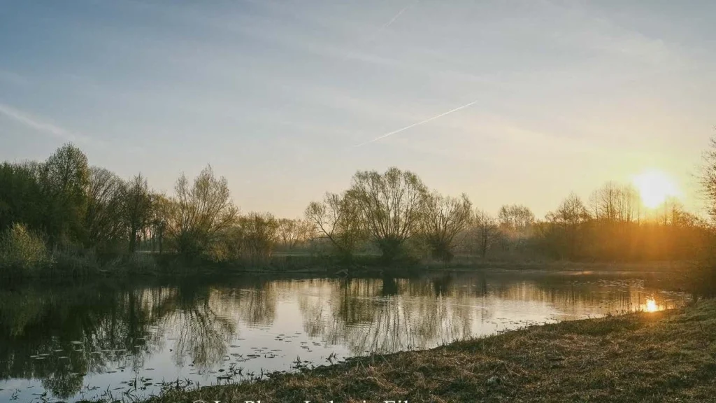 Fields Meadows 2