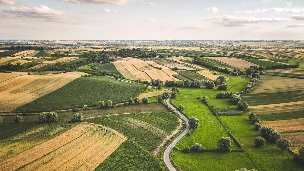 Fields Meadows 11