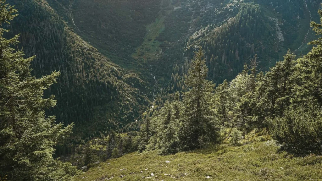 Mountains 11