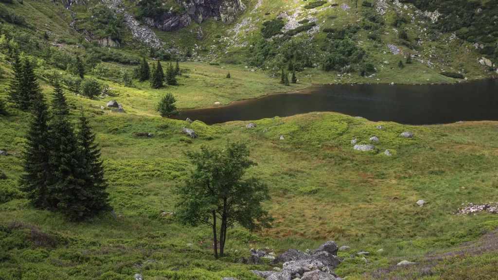 Mountains 13