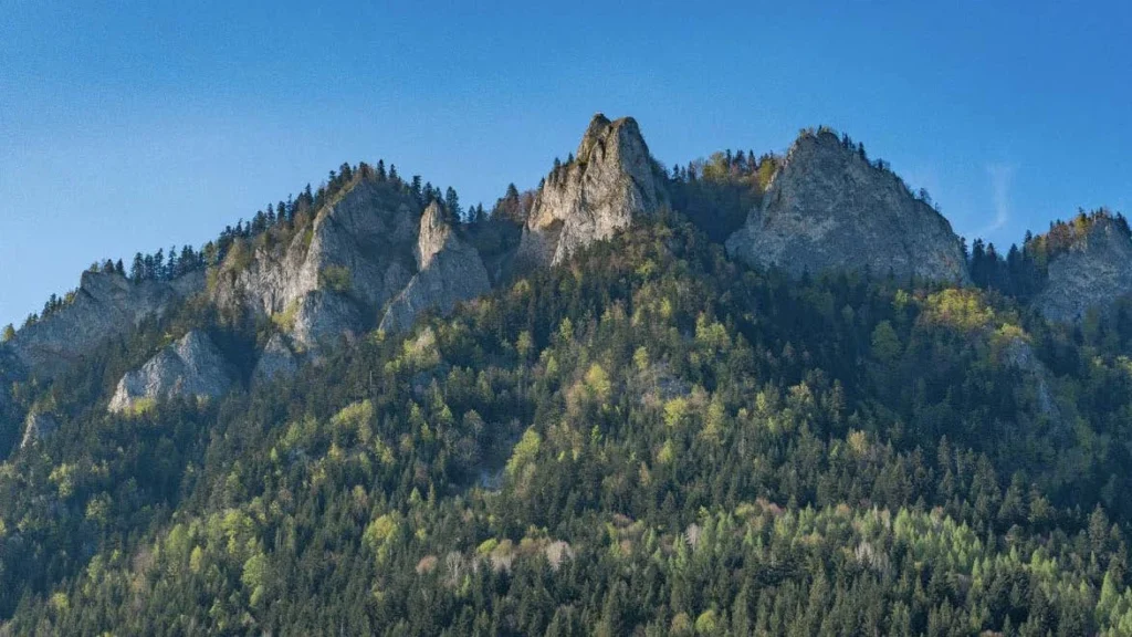 Mountains 15