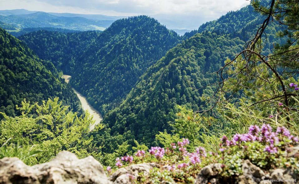 Mountains 19