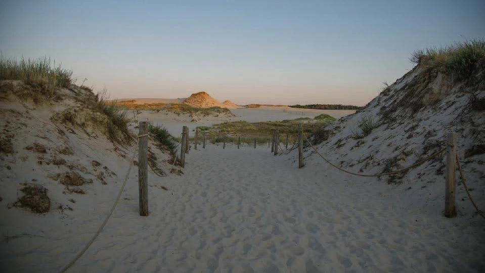 Beaches 2