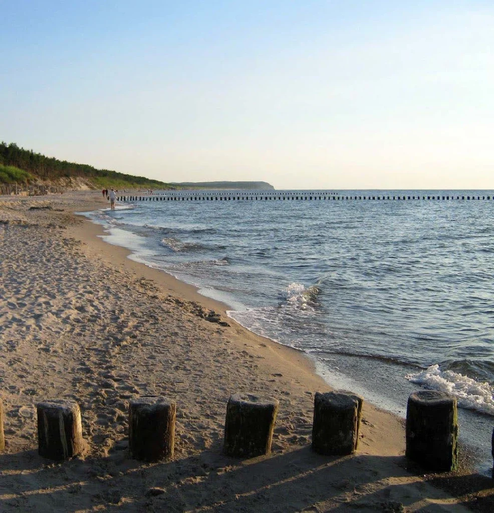 Beaches 8