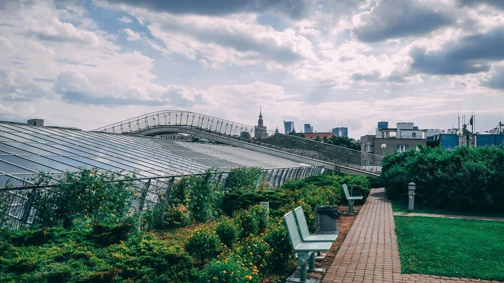 Rooftop 2