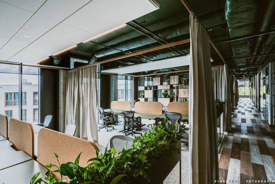 Offices 6