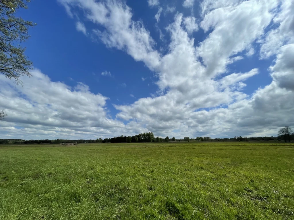 Fields Meadows 18