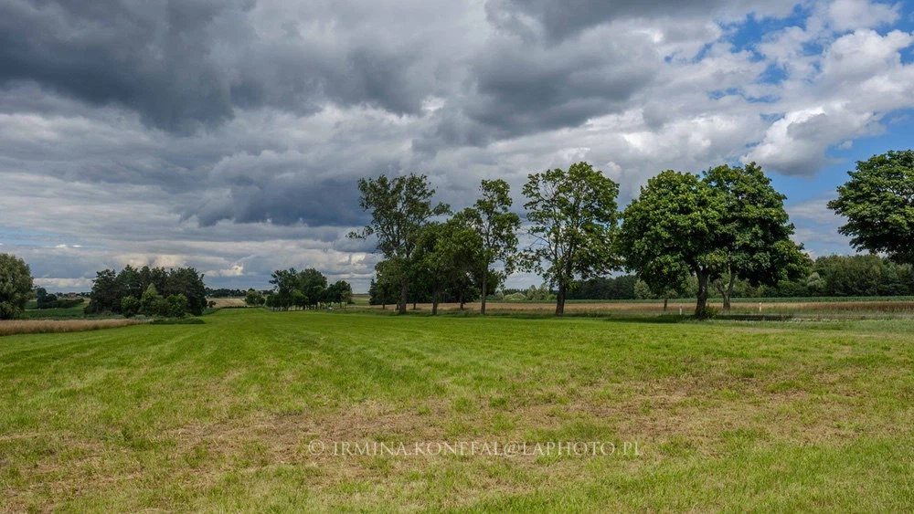 Fields Meadows 20