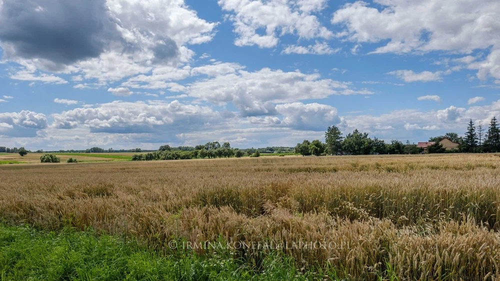 Fields Meadows 21