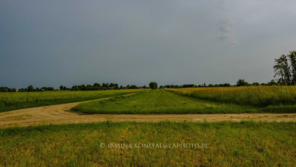 Fields Meadows 22