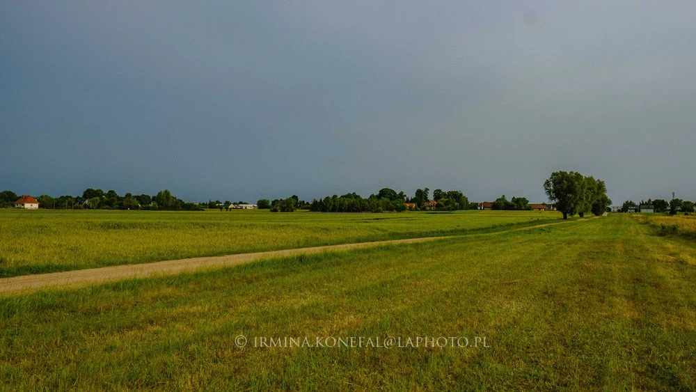Fields Meadows 24