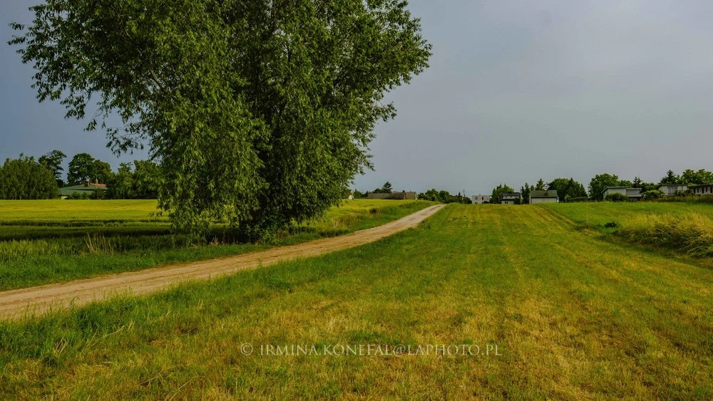 Fields Meadows 25