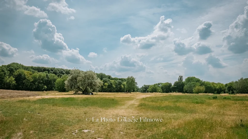 Fields Meadows 26
