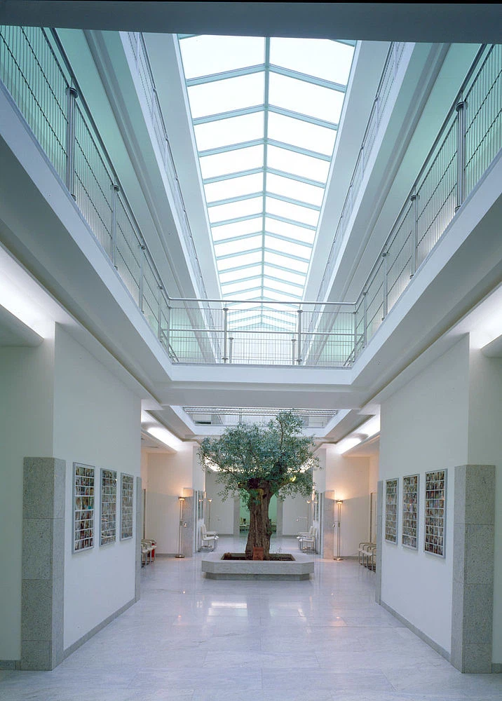 Hospitals 13