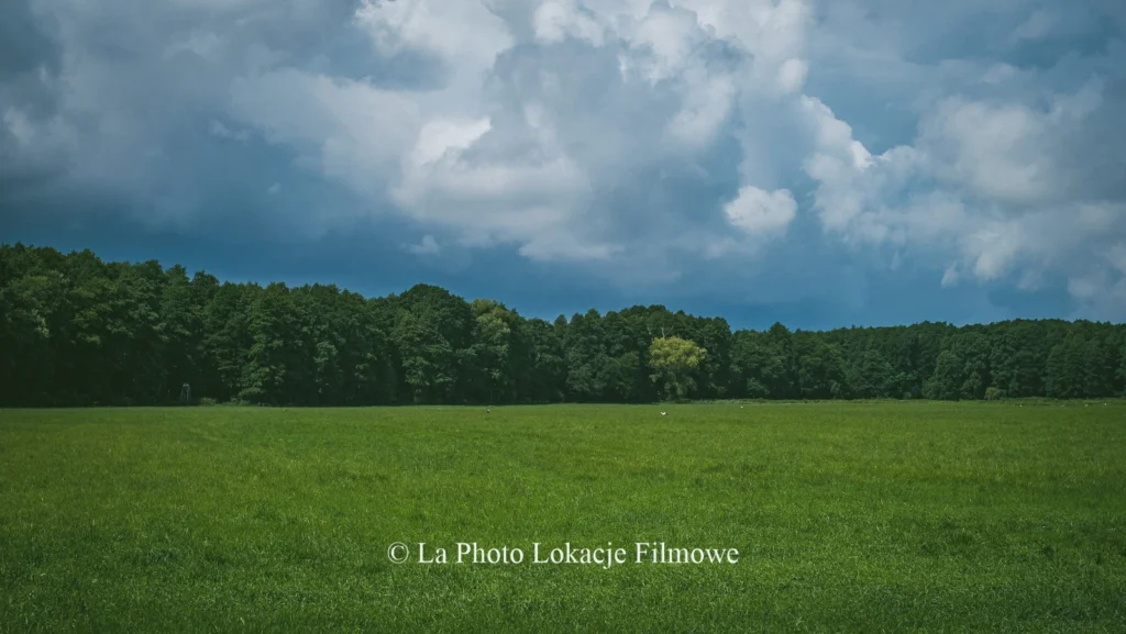 Fields Meadows 27
