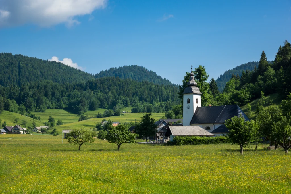 Fields / Meadows 1