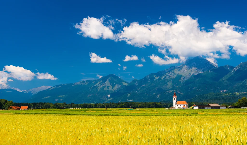 Fields / Meadows 3