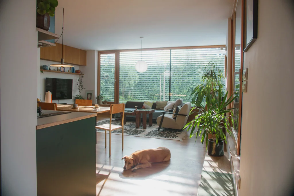 Houses / Apartments 4
