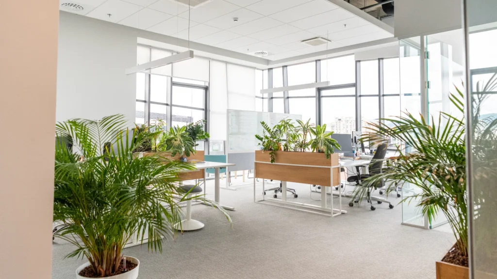 Offices 13