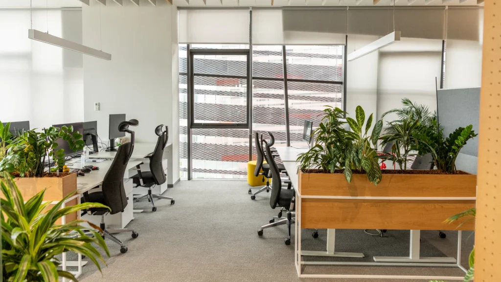 Offices 17