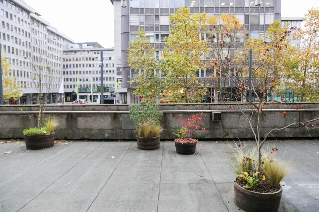 Rooftop 16