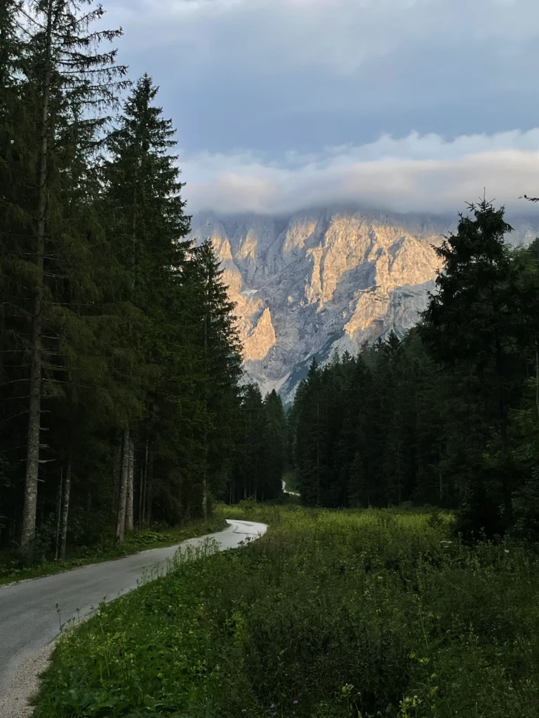 Forests 10