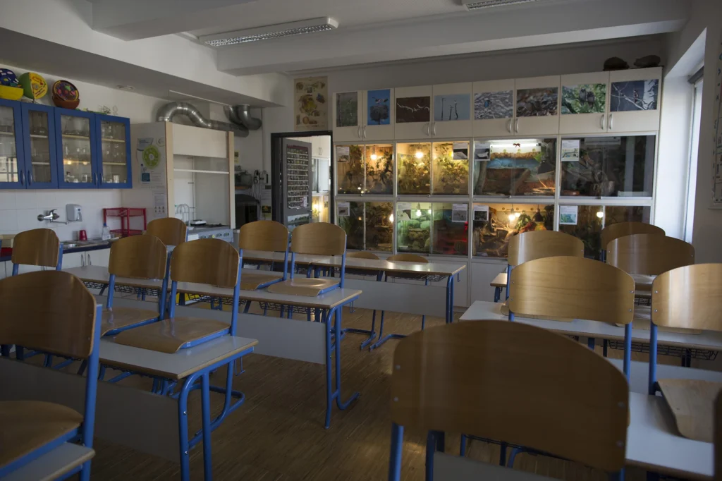 Schools & Universities 43