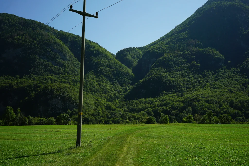 Fields / Meadows 9