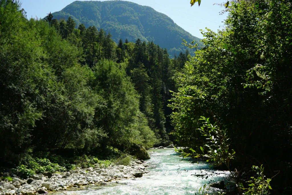 Rivers / Lakes 13